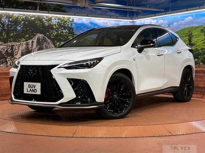 2024 Lexus NX