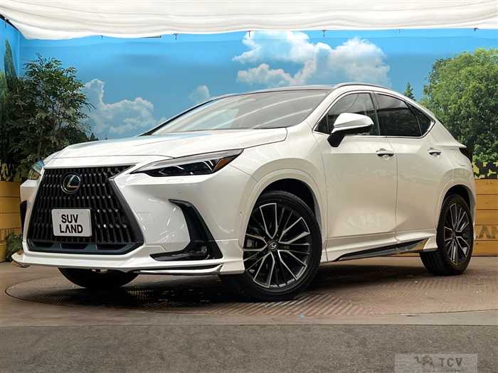2025 Lexus NX