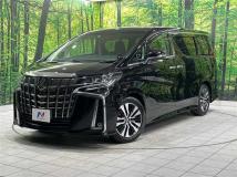 2019 Toyota Alphard