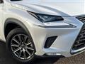 2019 Lexus NX