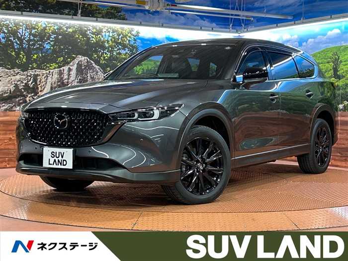 Mazda CX-8 2023 — миниатюра 5