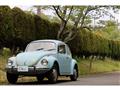 1971 Volkswagen Beetle