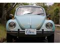 1971 Volkswagen Beetle