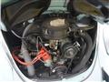 1971 Volkswagen Beetle