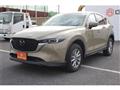 2022 Mazda Mazda Others