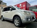 2009 Mitsubishi Delica D5
