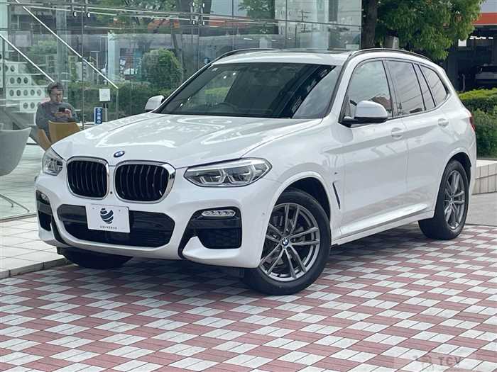 2019 BMW X3