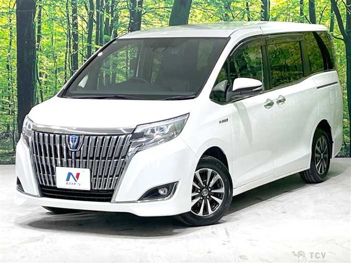 2017 Toyota Esquire
