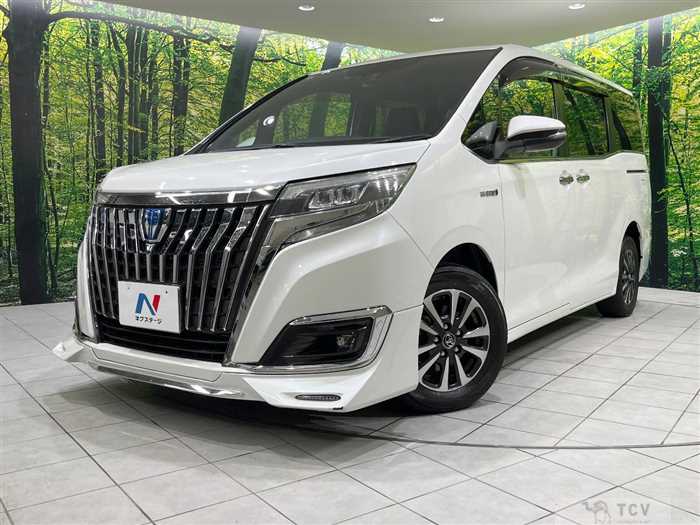 2018 Toyota Esquire