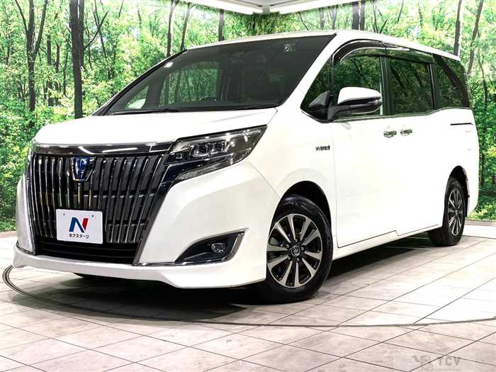 2018 Toyota Esquire