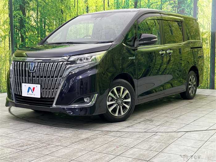 2018 Toyota Esquire