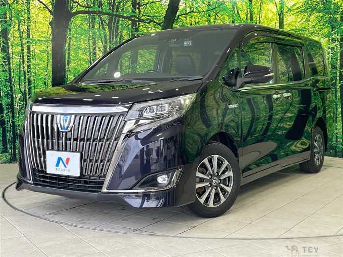 2020 Toyota Esquire