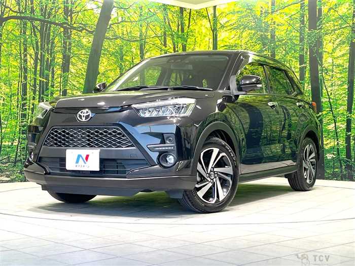 2019 Toyota Raize