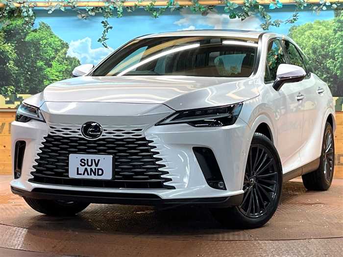 Lexus RX 2024 — миниатюра 2
