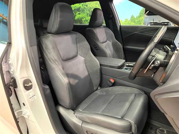 Lexus RX 2024 — миниатюра 10
