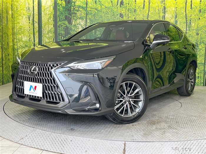2024 Lexus NX