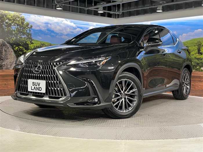 Lexus NX 2023 — миниатюра 2