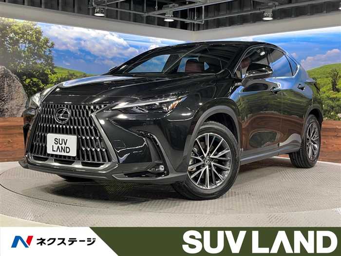 Lexus NX 2023 — миниатюра 5