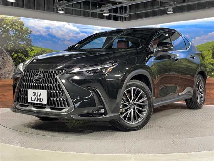 Lexus NX 2023 — миниатюра 7