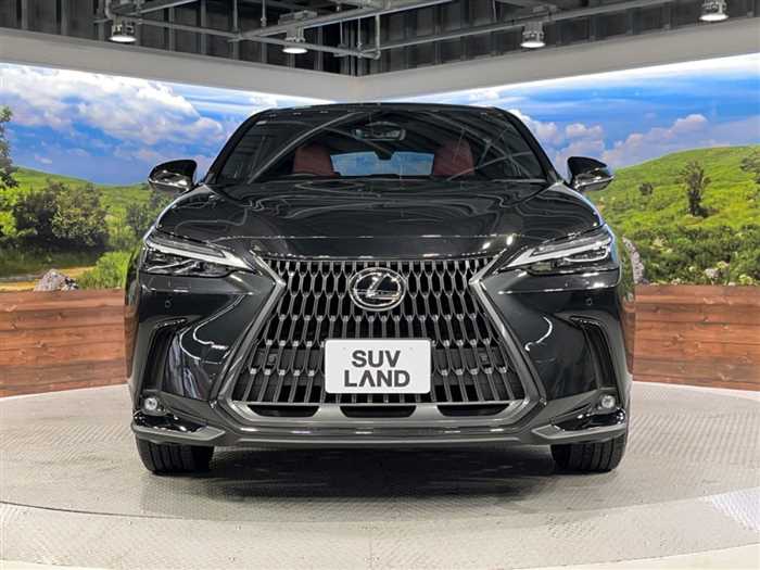 Lexus NX 2023 — миниатюра 8