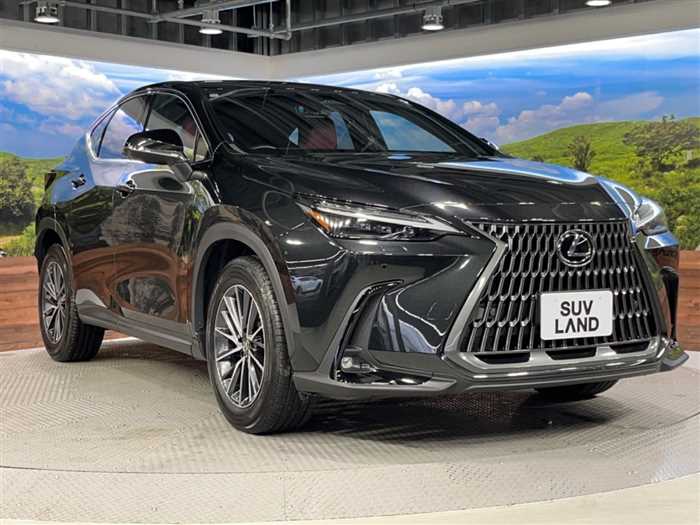 Lexus NX 2023 — миниатюра 9