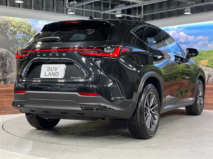 Lexus NX 2023 — миниатюра 11