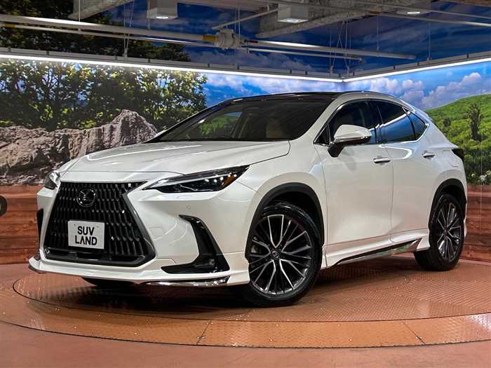 Lexus NX 2024 — миниатюра 2