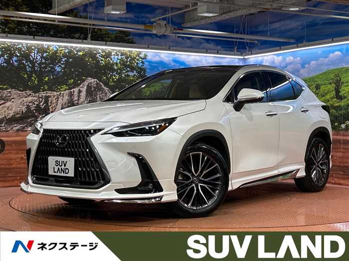 Lexus NX 2024 — миниатюра 5