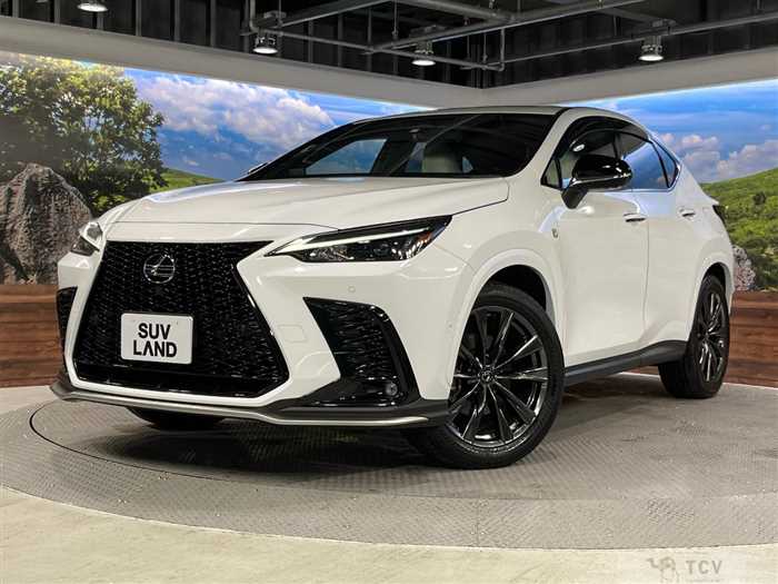 2023 Lexus NX