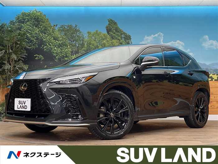 Lexus NX 2024 — миниатюра 5
