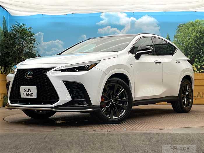 2025 Lexus NX