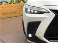2025 Lexus NX