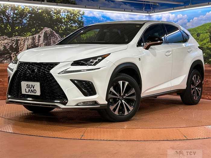 2018 Lexus NX