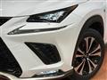 2018 Lexus NX