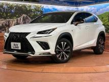 2018 Lexus NX