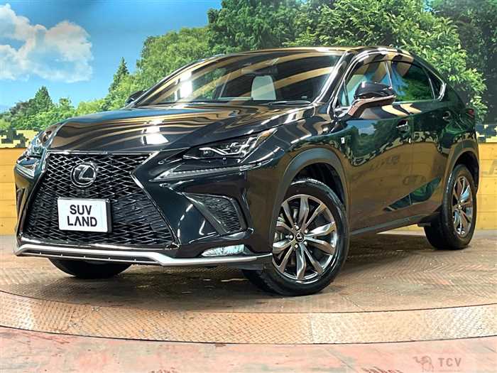 2020 Lexus NX