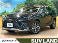 2020 Lexus NX