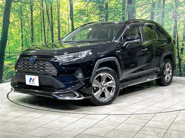 2019 Toyota RAV4