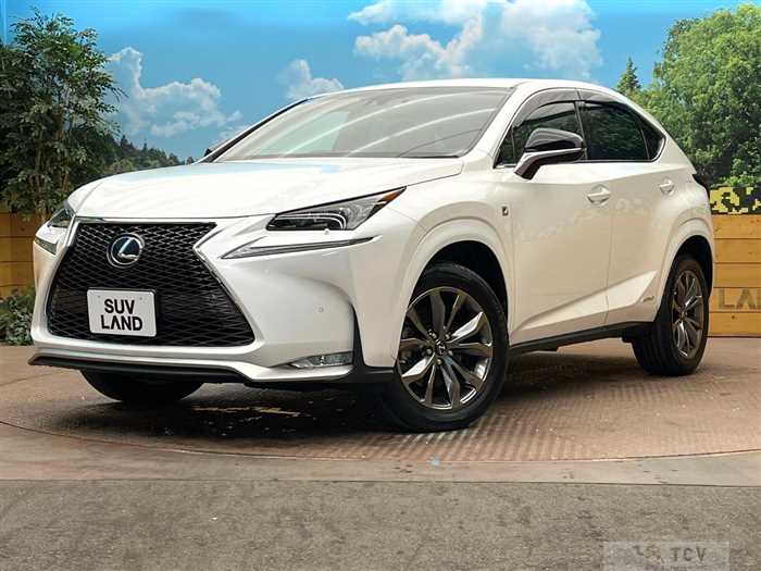 2016 Lexus NX
