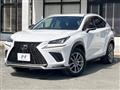 2018 Lexus NX
