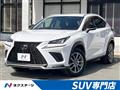 2018 Lexus NX