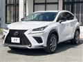 2018 Lexus NX