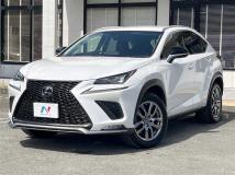 2018 Lexus NX