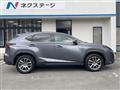 2015 Lexus NX