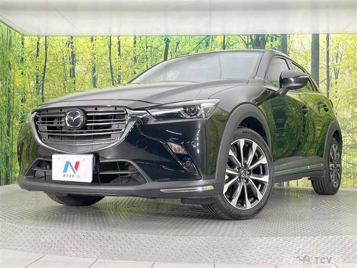 2019 Mazda CX-3