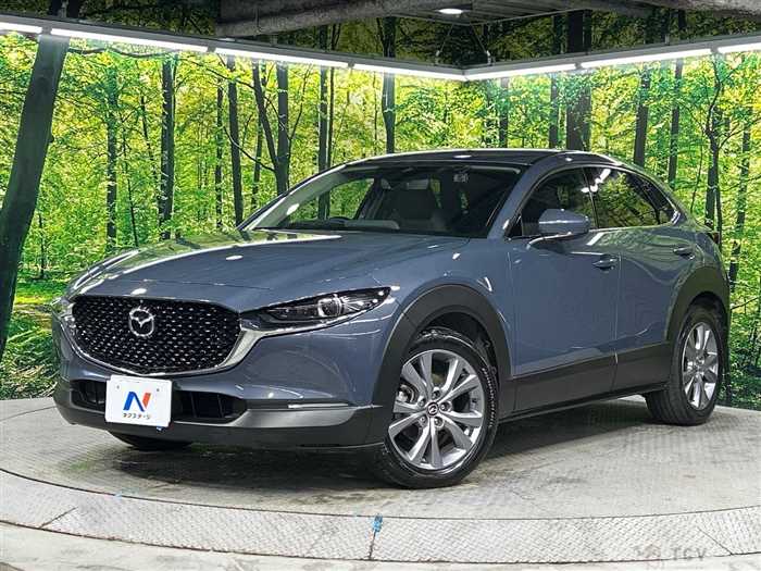 2021 Mazda Mazda Others