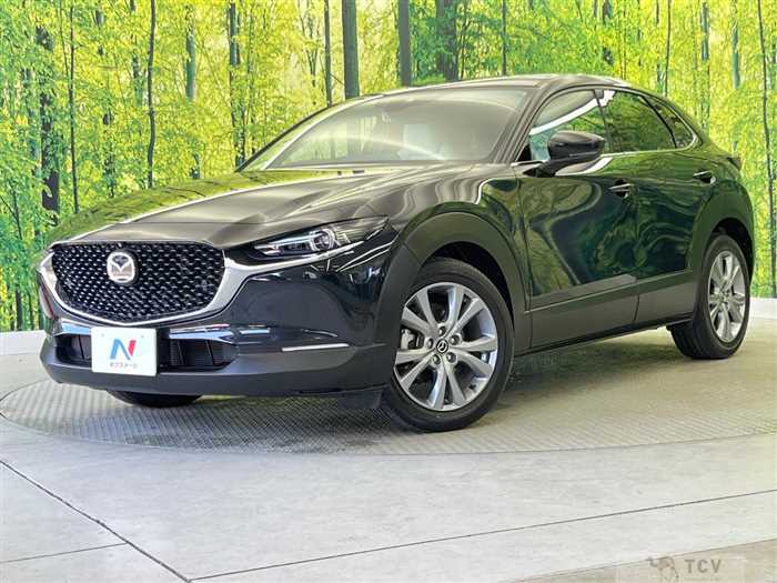 2023 Mazda Mazda Others