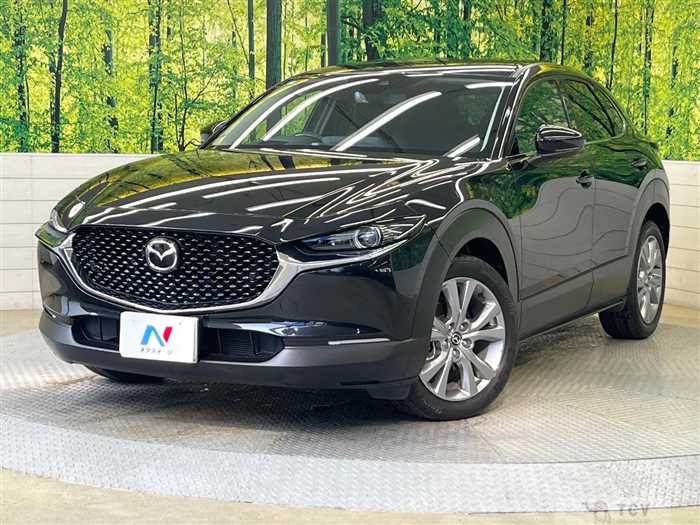 2023 Mazda Mazda Others