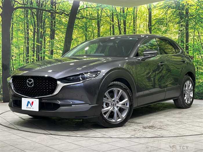 2019 Mazda Mazda Others