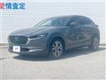 2020 Mazda Mazda Others